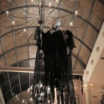 DSC_0015 (3)